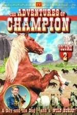 Watch The Adventures of Champion Zmovie